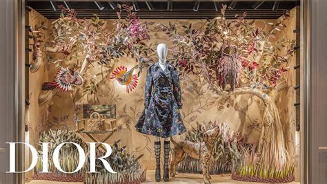 dior enchanted windows